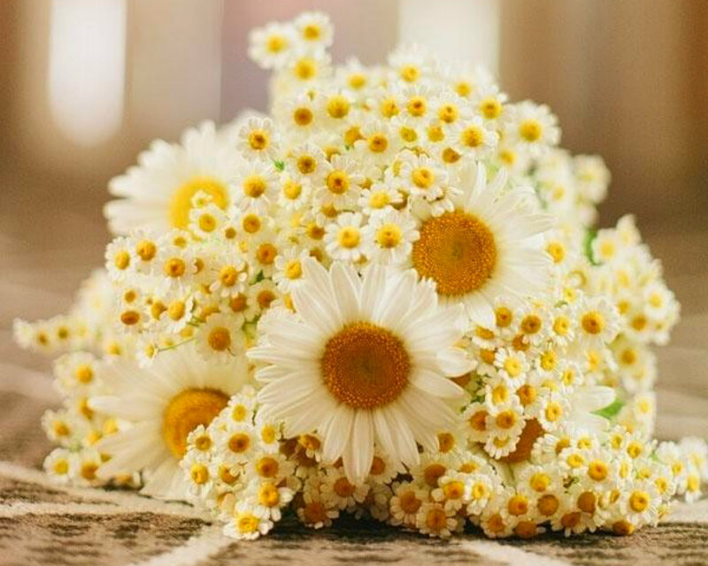 Daisy Flower Bouquet — White