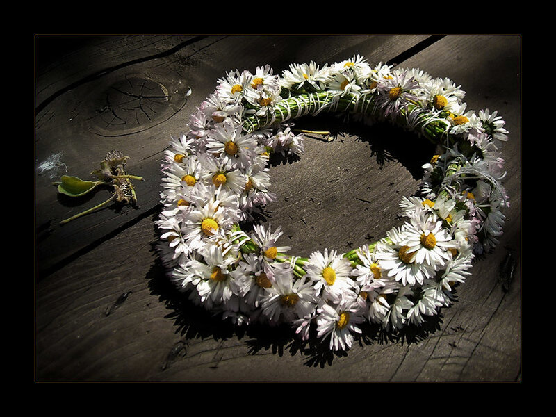 daisy flower crown on wood