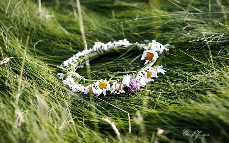 Daisy Flower Crown