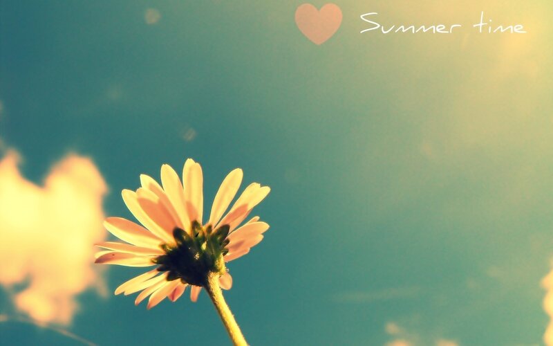 Daisy Flower in Sky