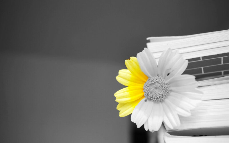 Daisy Flower on Books