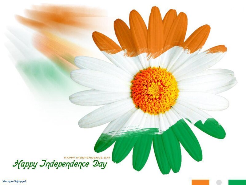 Daisy Flower with Flag Colors