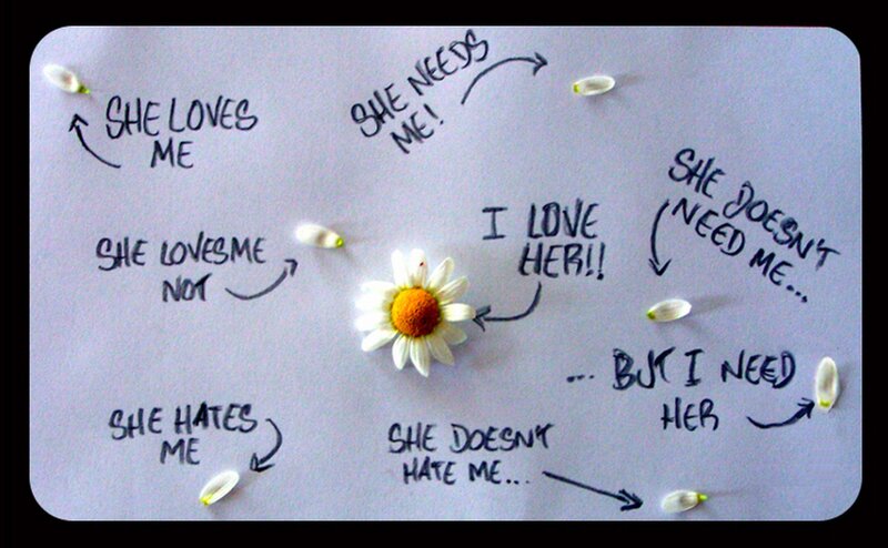 Daisy Flower with Text