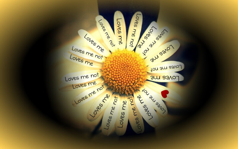 Daisy Flower with Text — Yellow