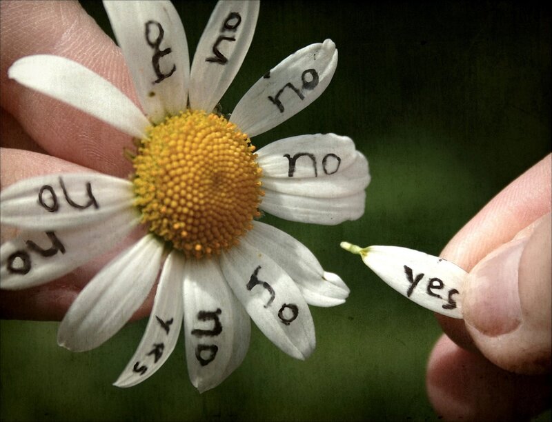 Daisy Flower with Writing