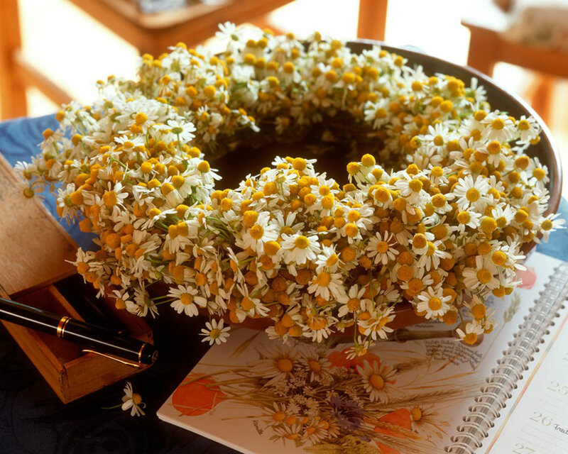 Daisy Flower Wreath