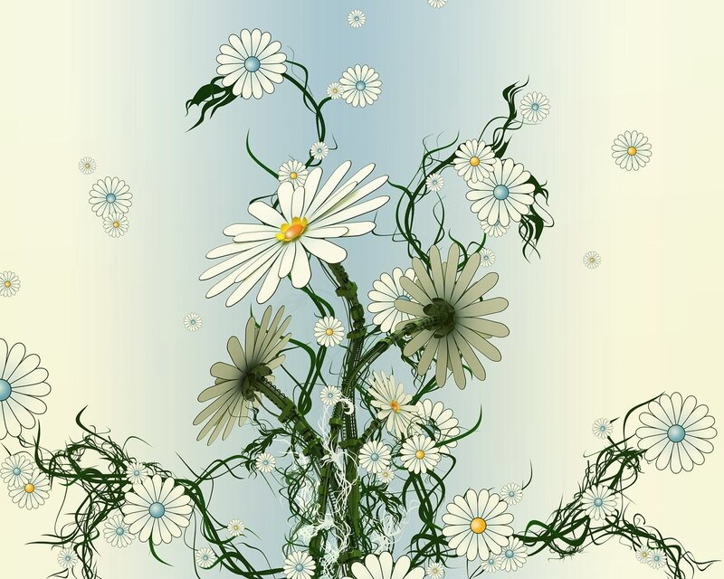 Daisy Flowers and Vines