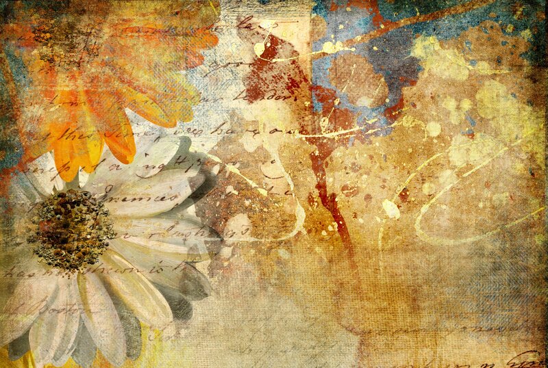 Daisy Flowers Collage