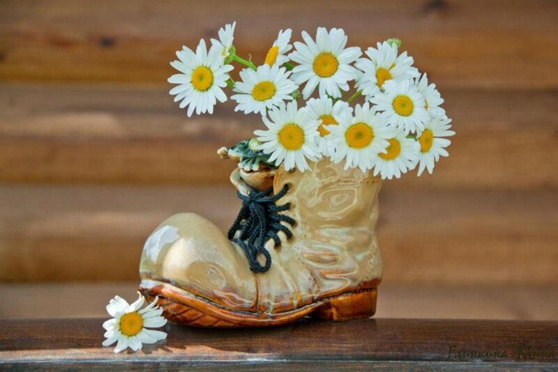 Daisy Flowers in Boot — White