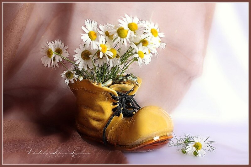 Daisy Flowers in Boot — Yellow