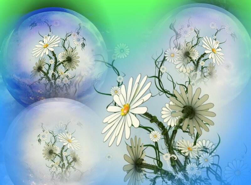Daisy Flowers in Bubbles