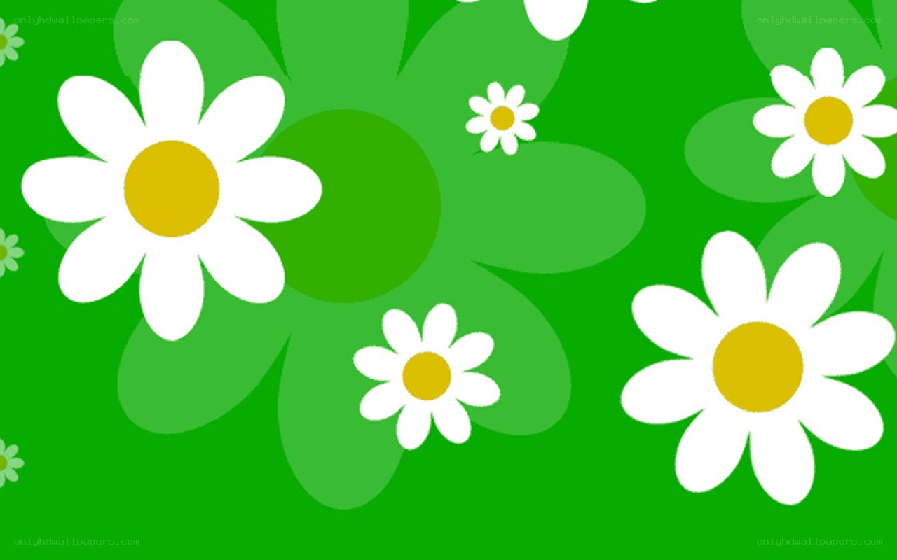 daisy flowers on green background