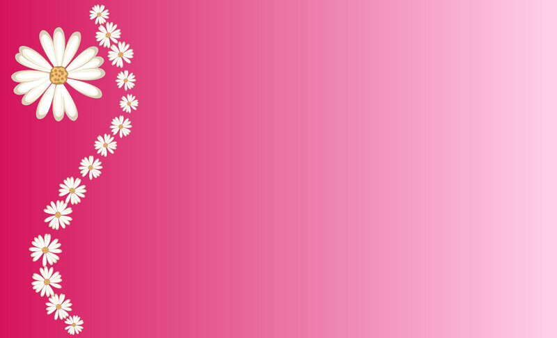 Daisy Flowers on Pink