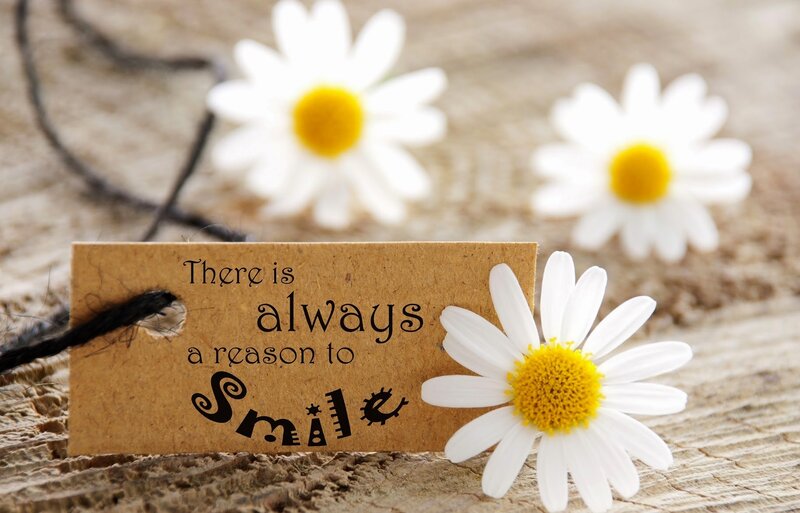 Daisy Flowers on Wood — White, Calm