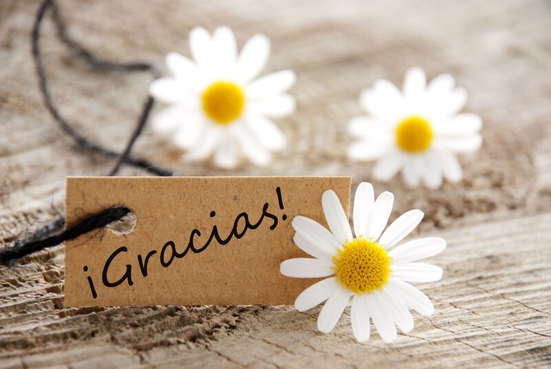 Daisy Flowers on Wood — White