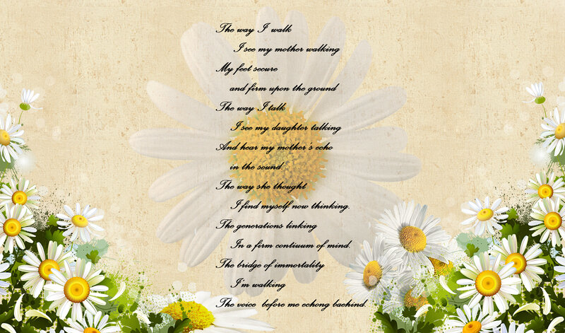 Daisy Flowers with Poem