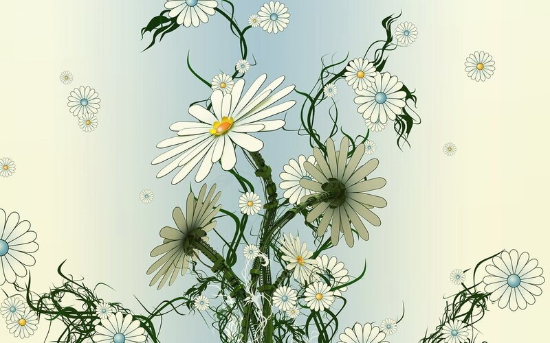 Daisy Flowers with Vines