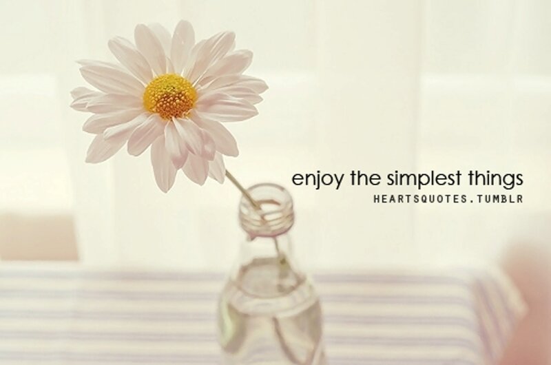 Daisy in a Bottle