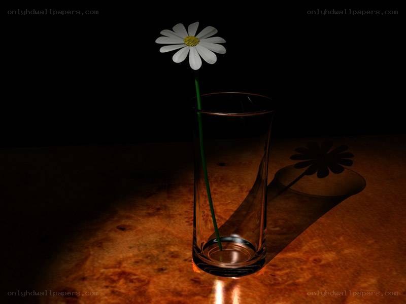 daisy in a glass vase
