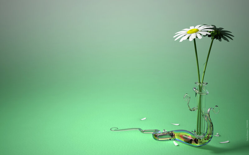 Daisy in a glass vase