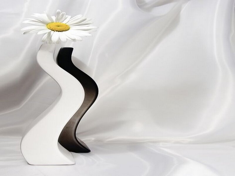 Daisy in a Vase