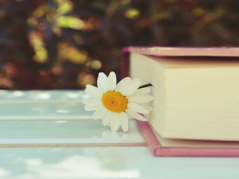 Daisy in Book