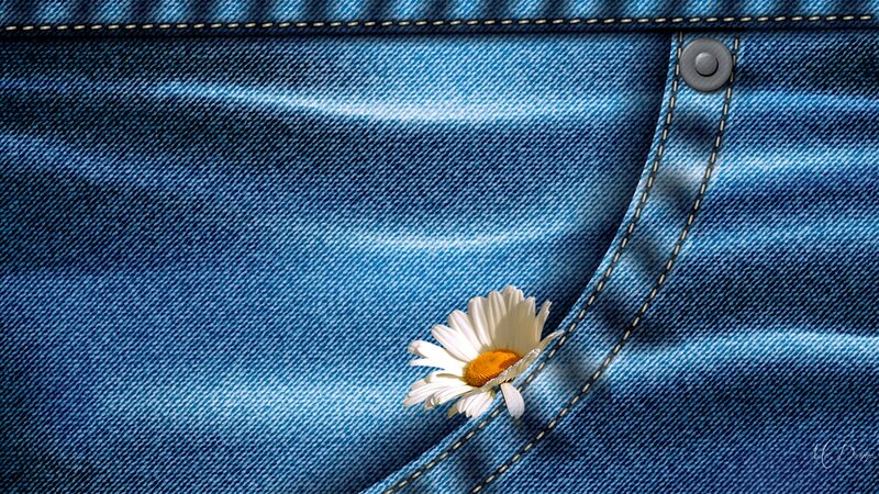Daisy in Denim Pocket