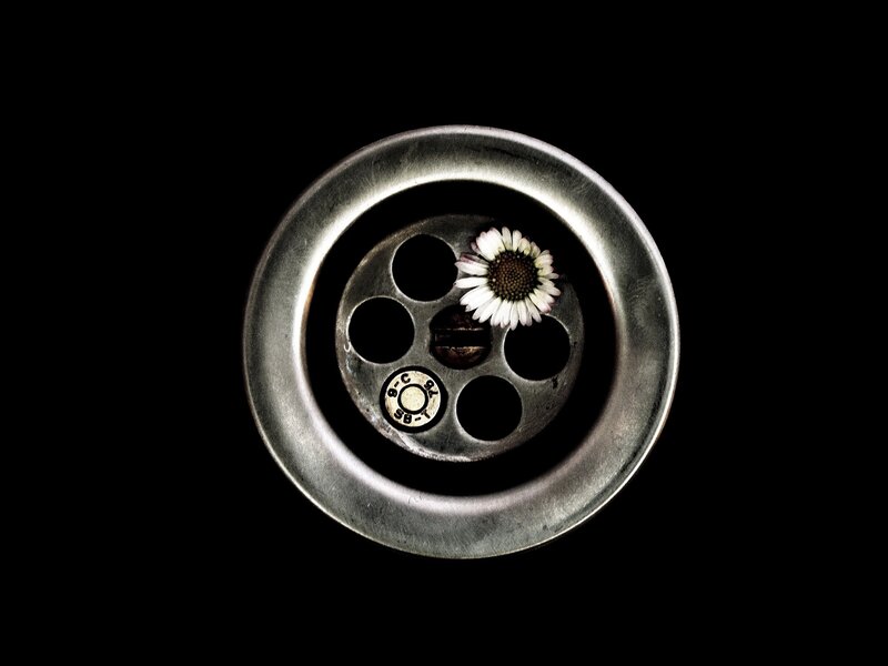 Daisy in Drain Cover