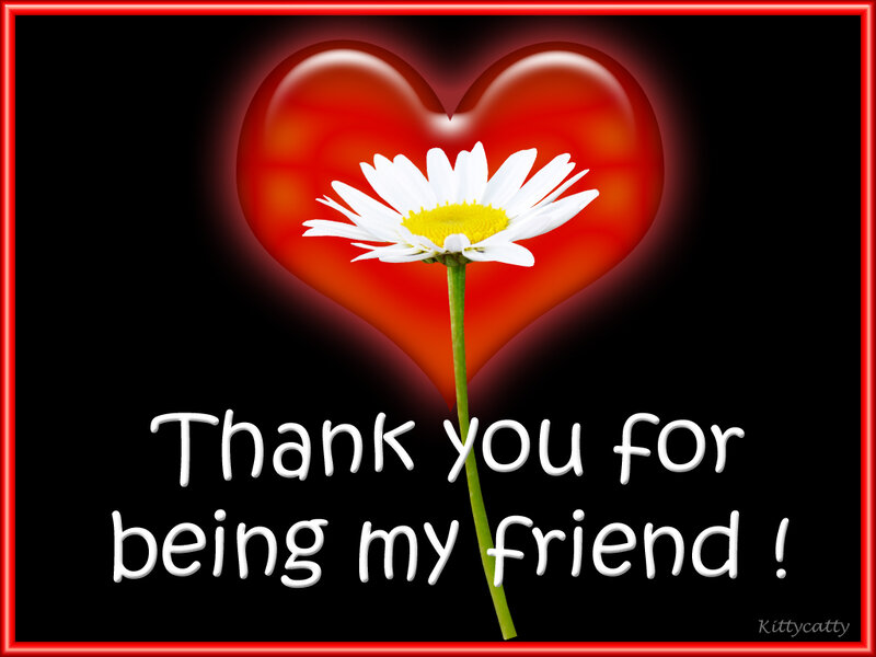 Daisy in Front of Heart
