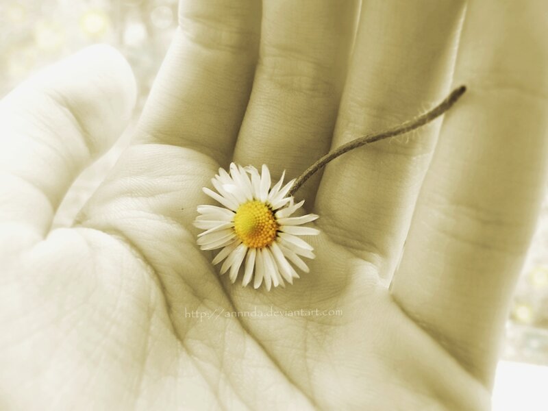 Daisy in Hand