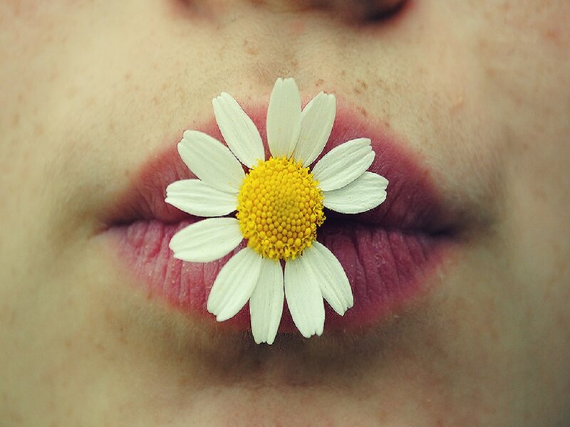 Daisy in Person's Mouth