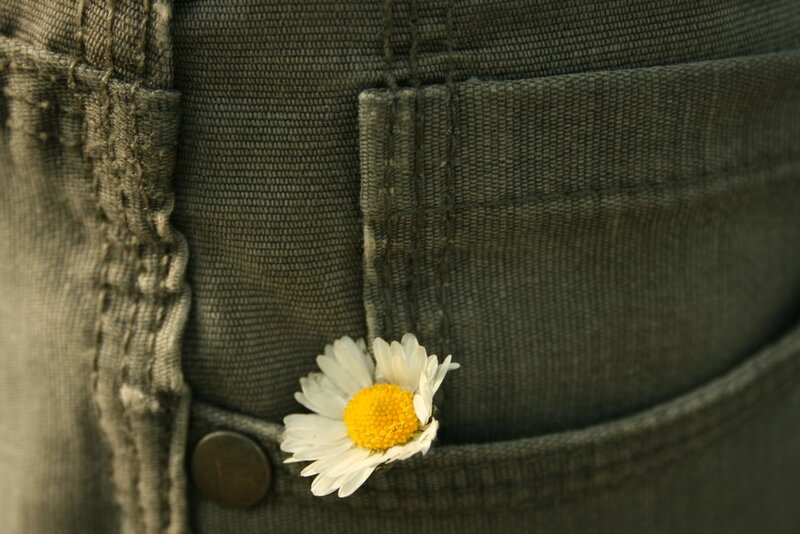 Daisy in Pocket