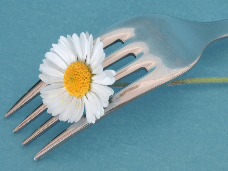 Daisy on a Fork