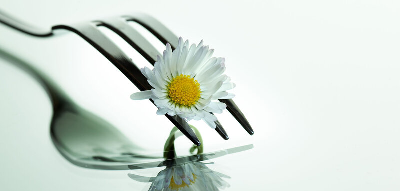 Daisy on a Fork — White