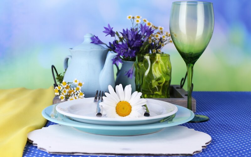 Daisy on Dinner Plate