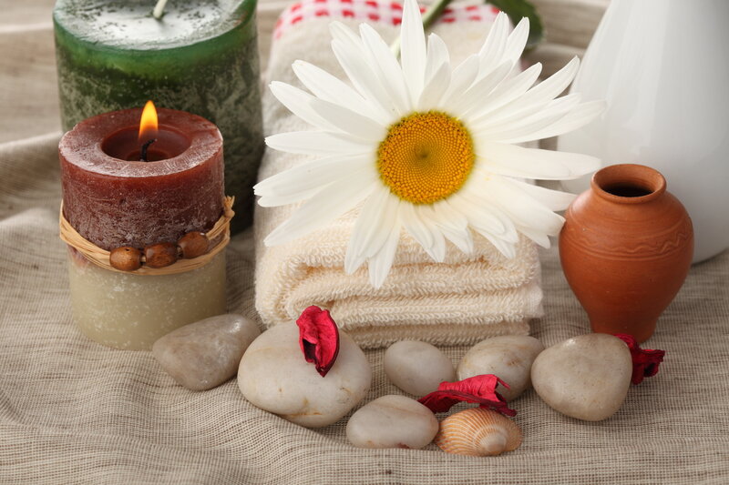 Daisy on Folded Towel