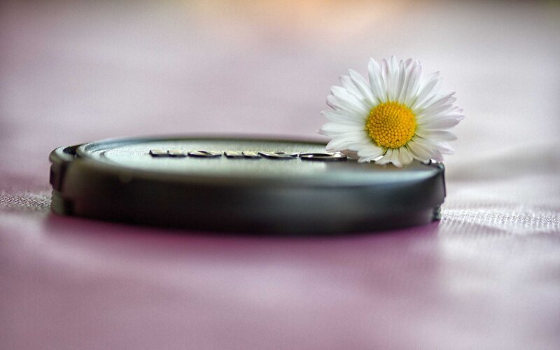 Daisy on Lens Cap