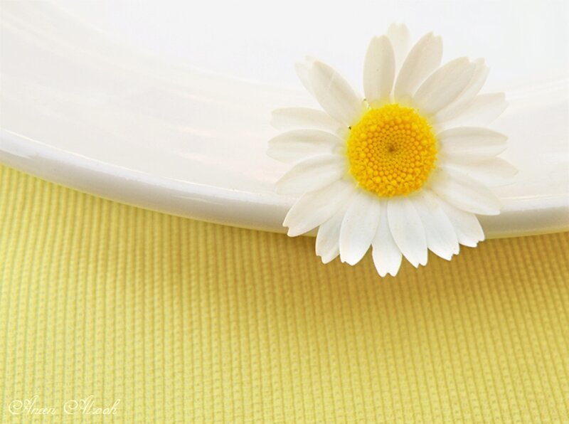Daisy on White Plate