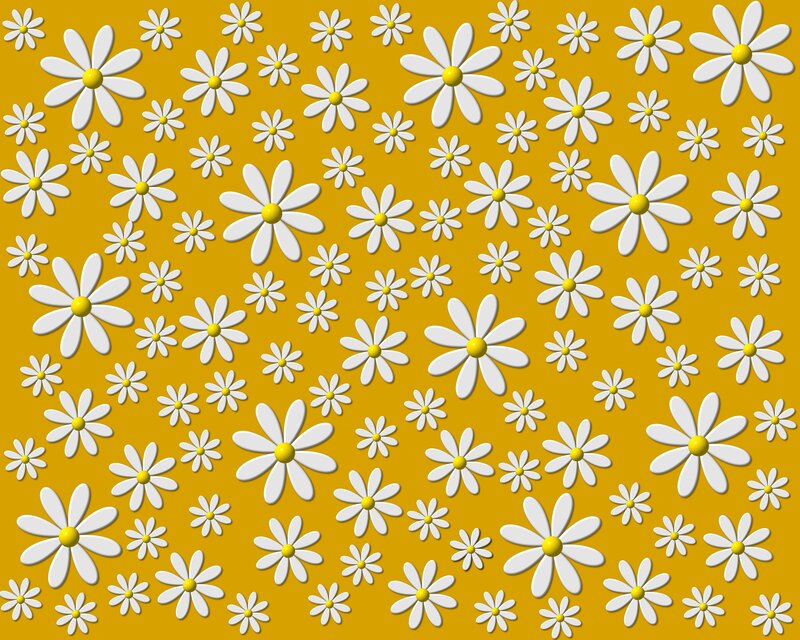 daisy pattern on yellow