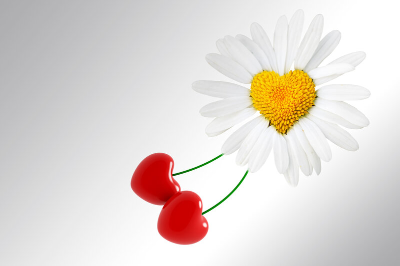 Daisy with Heart Cherries