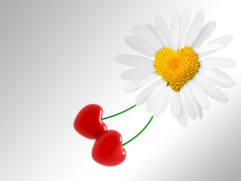 Daisy with Heart-shaped Center