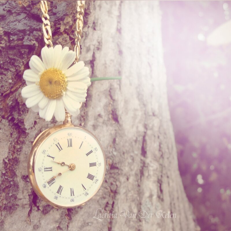 Daisy with Pocket Watch