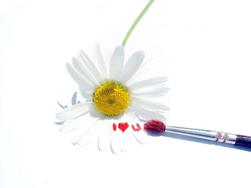 Daisy with Red Paint