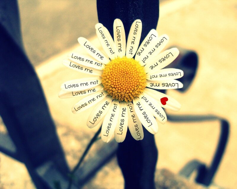 Daisy with Text Petals