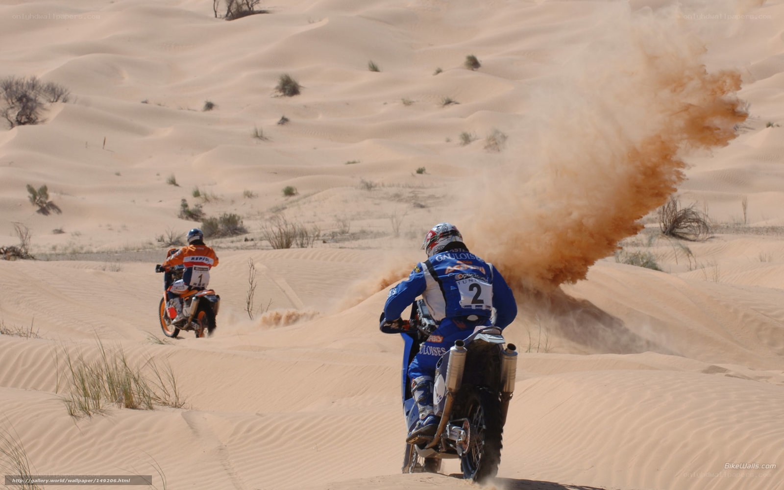 Dakar Rally in the desert