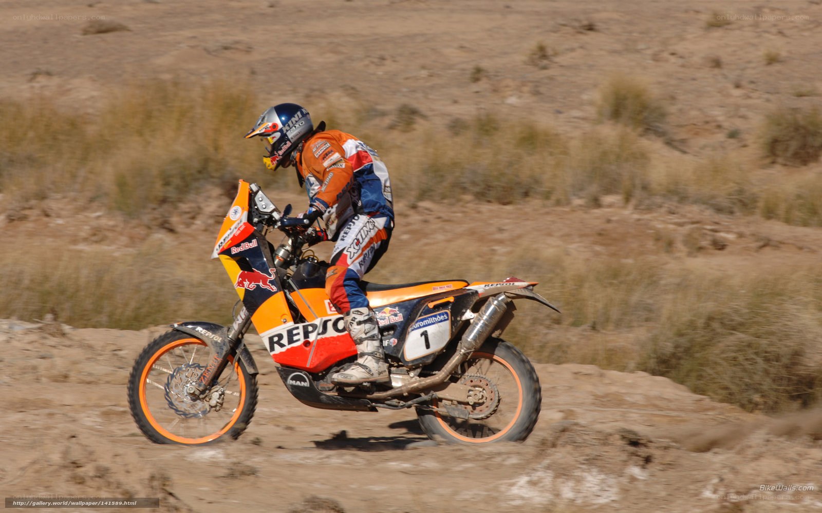 Dakar Rally motorcycle racer