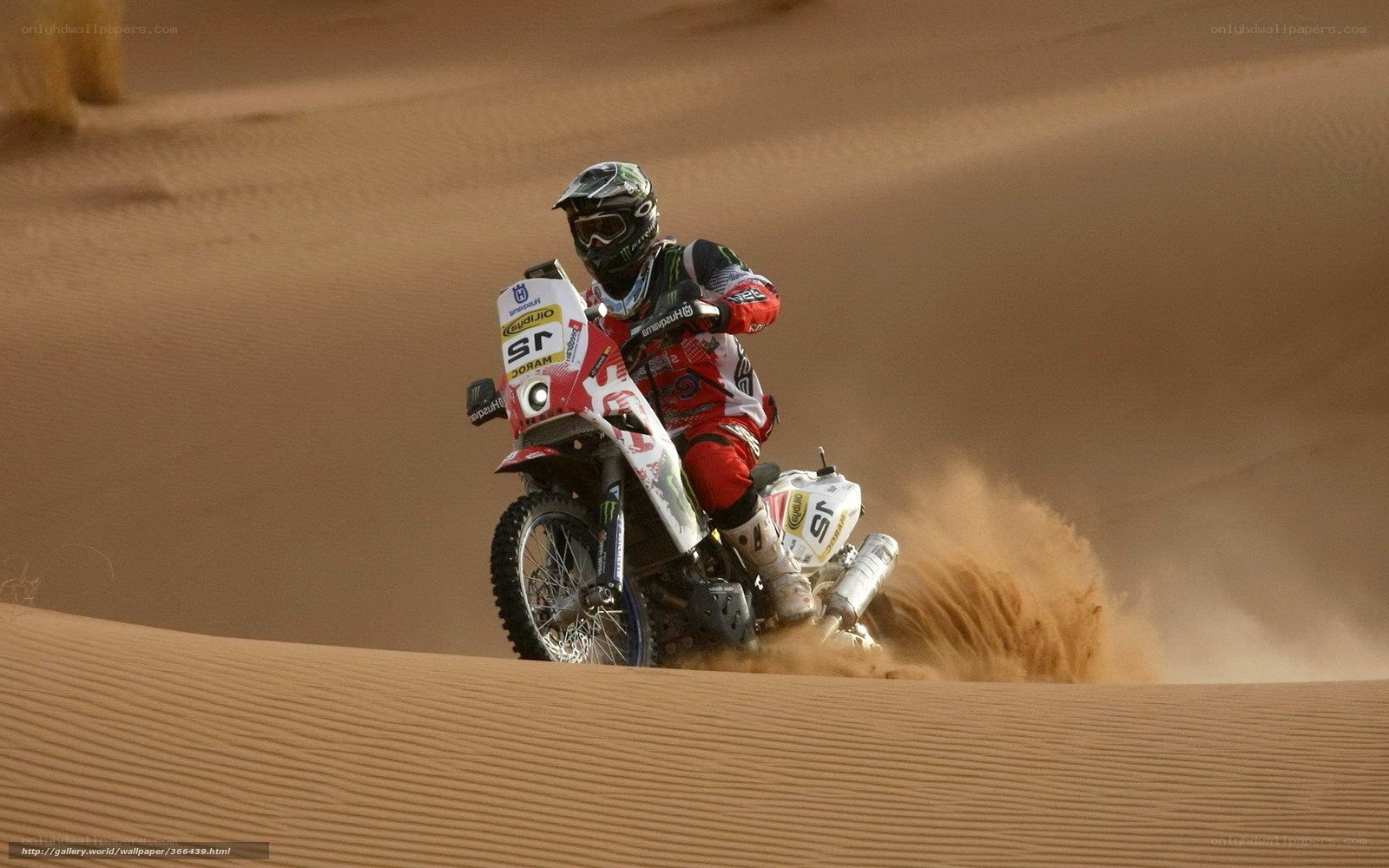 Dakar Rally racer on sand dune