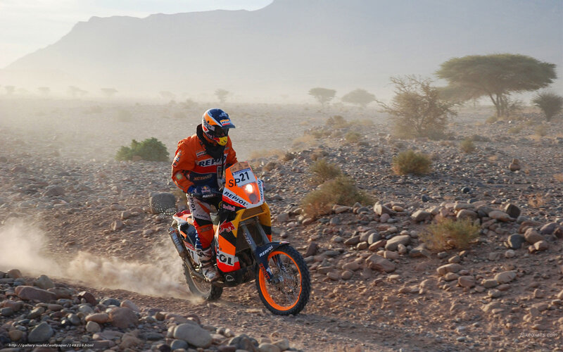 Dakar Rally rider on rocky terrain