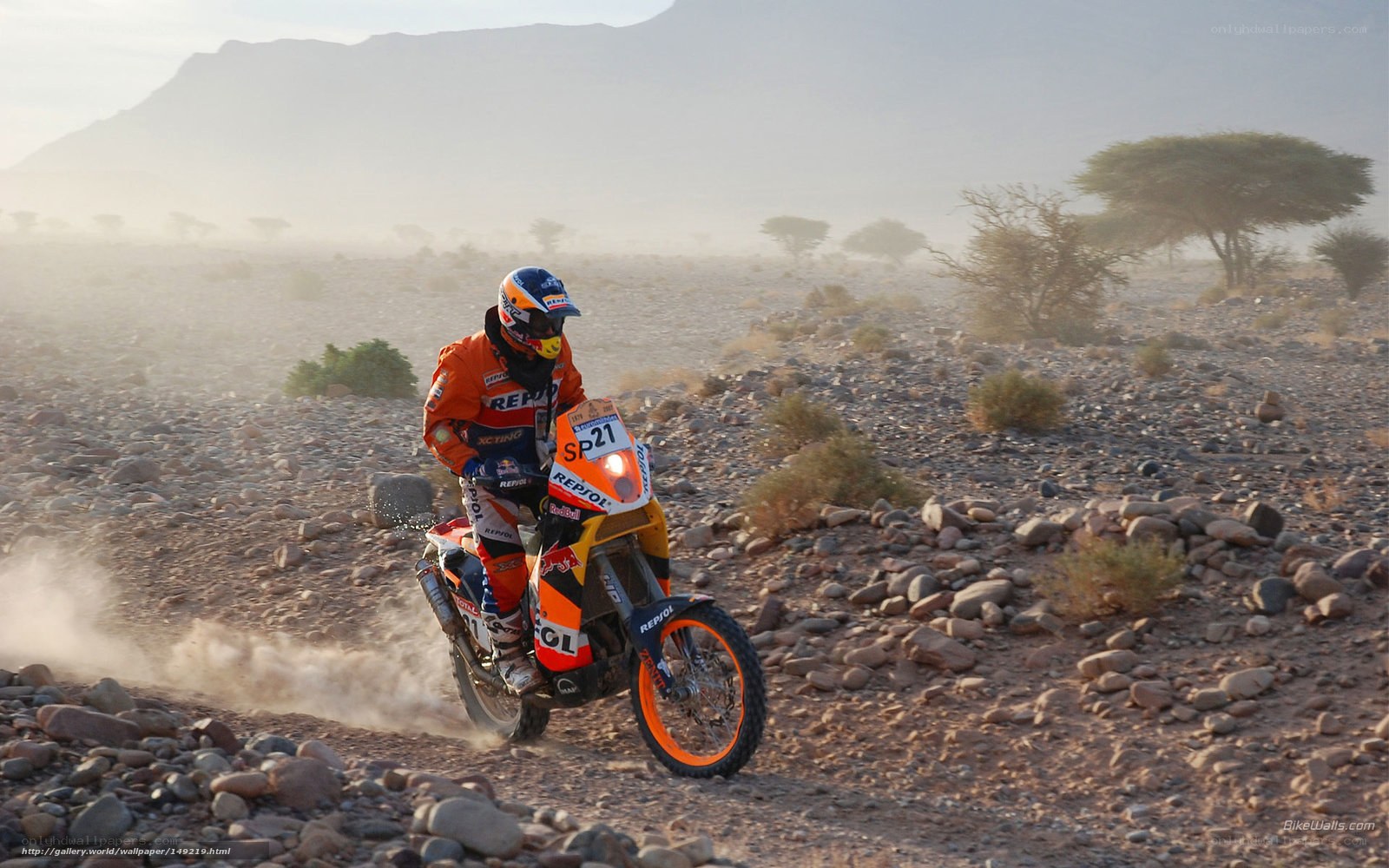 Dakar Rally rider on rocky terrain
