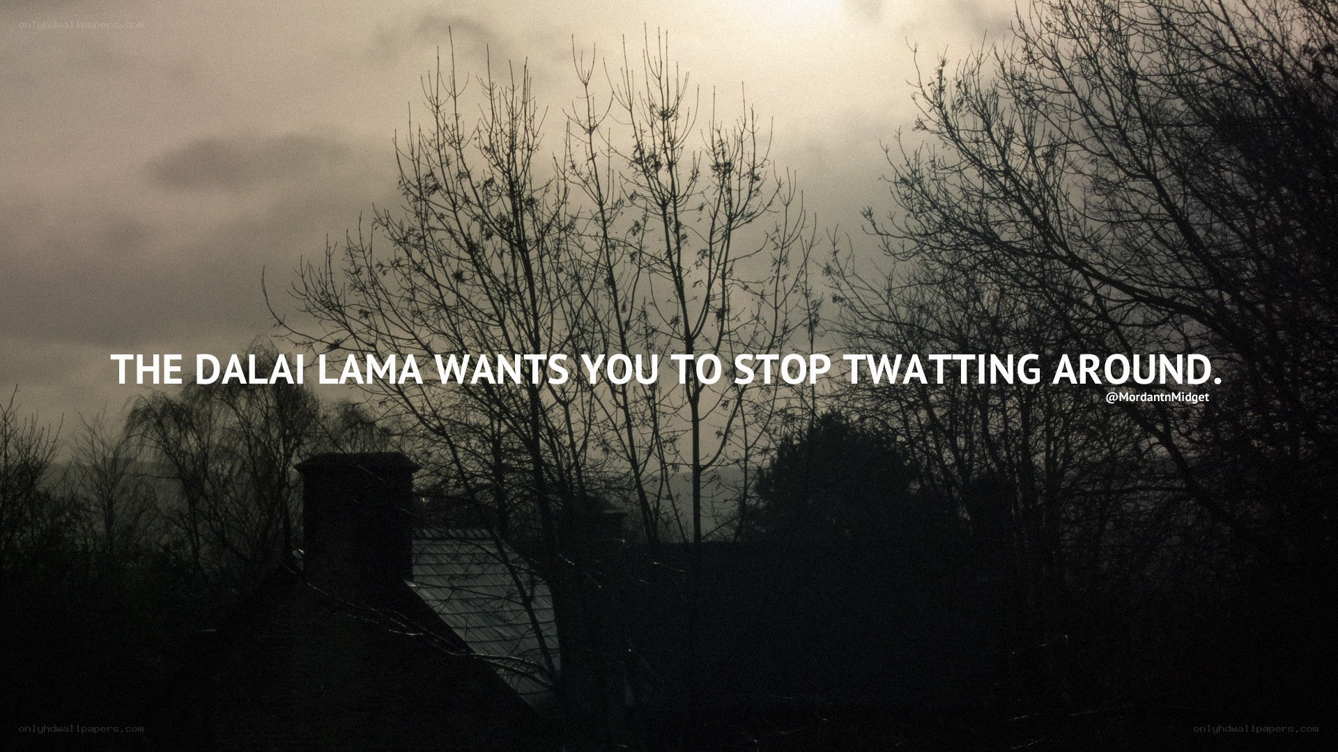 Dalai Lama quote on twattin